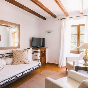 Junior Suite Terrace
